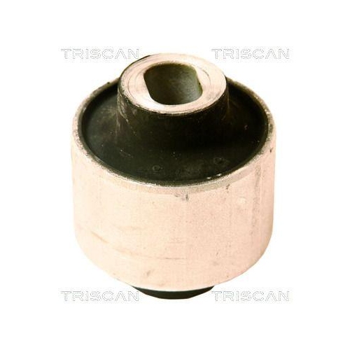 TRISCAN Lagerung, Lenker