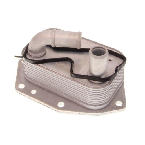 MAXGEAR Ölkühler, Motoröl