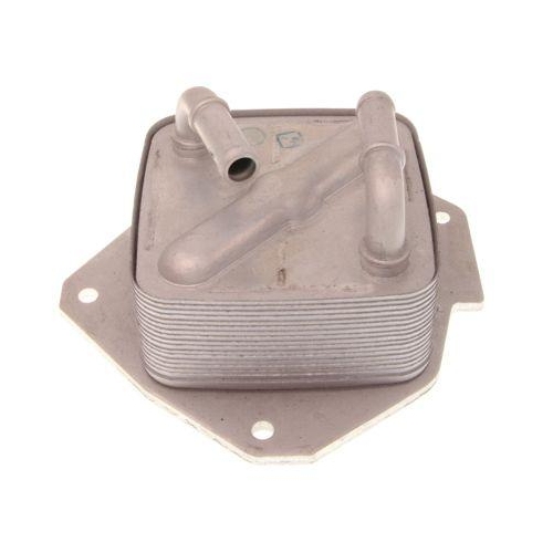 MAXGEAR Ölkühler, Motoröl