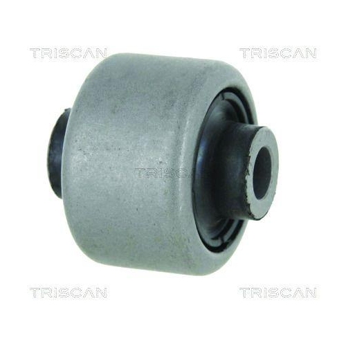 TRISCAN Lagerung, Lenker