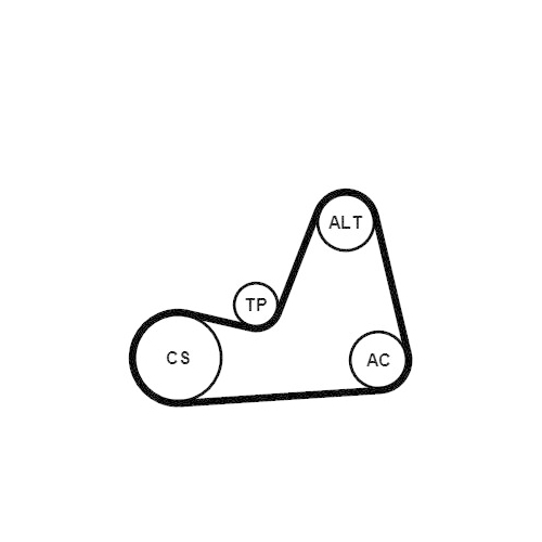 CONTINENTAL CTAM Keilrippenriemensatz