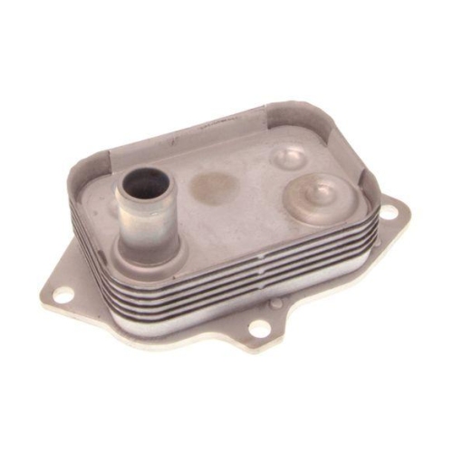 MAXGEAR Ölkühler, Motoröl