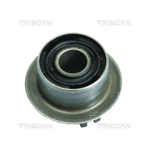 TRISCAN Lagerung, Lenker