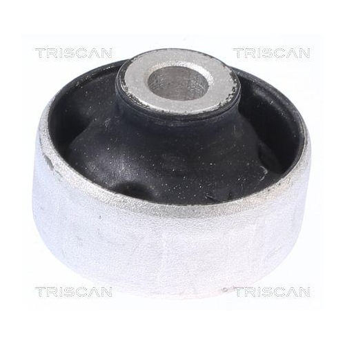 TRISCAN Lagerung, Lenker