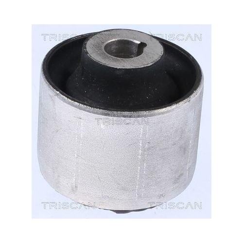 TRISCAN Lagerung, Lenker