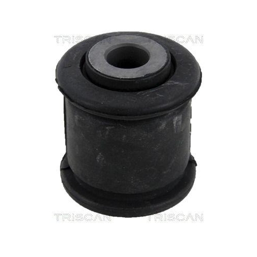 TRISCAN Lagerung, Lenker