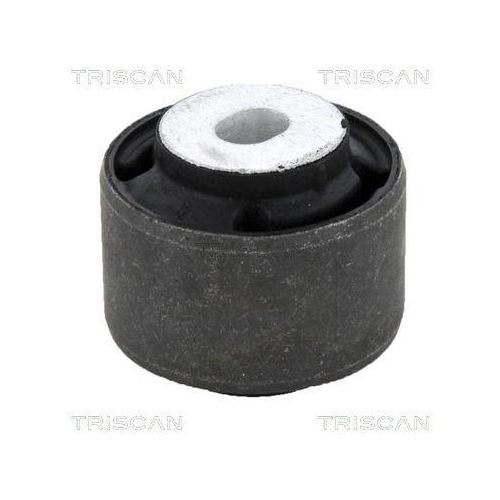 TRISCAN Lagerung, Lenker