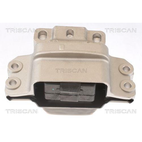 TRISCAN Lagerung, Motor