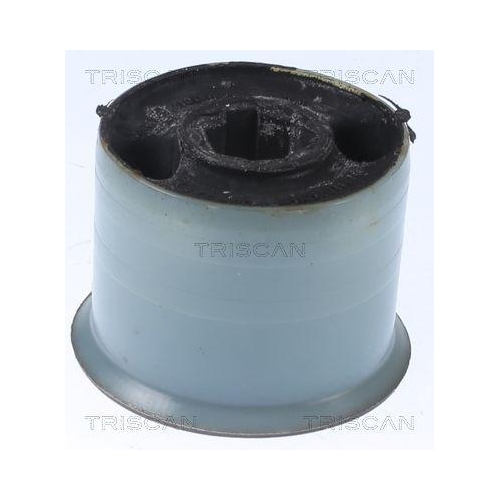 TRISCAN Lagerung, Lenker