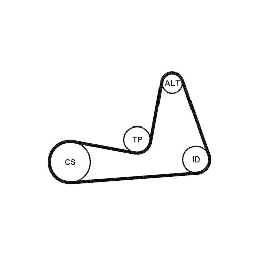 CONTINENTAL CTAM Keilrippenriemensatz