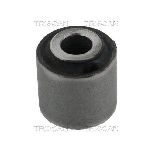 TRISCAN Lagerung, Lenker