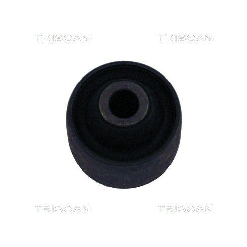 TRISCAN Lagerung, Lenker