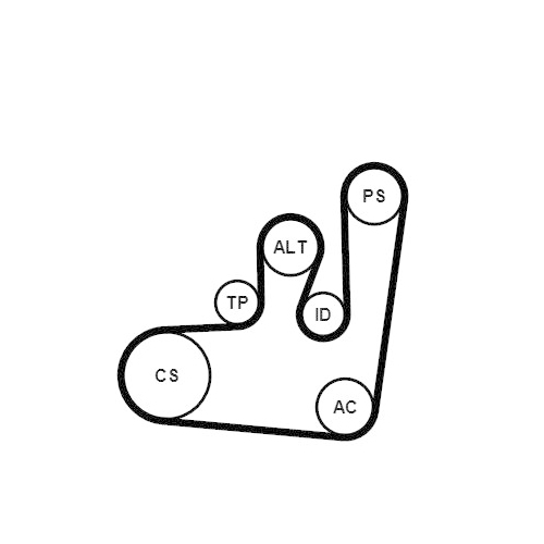 CONTINENTAL CTAM Keilrippenriemensatz