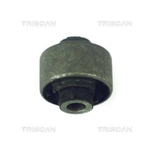 TRISCAN Lagerung, Lenker
