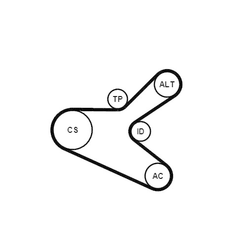 CONTINENTAL CTAM Keilrippenriemensatz