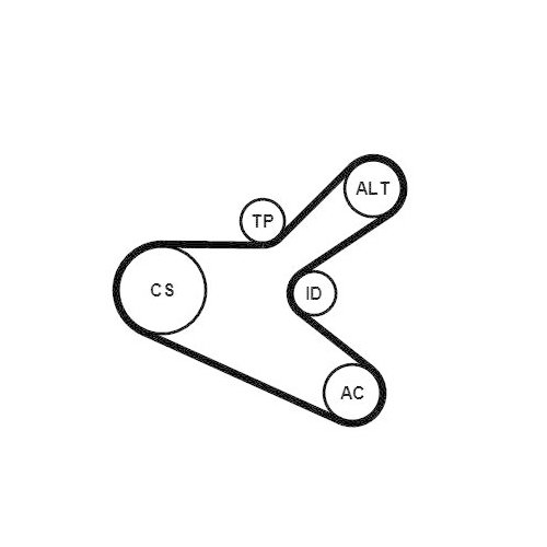CONTINENTAL CTAM Keilrippenriemensatz