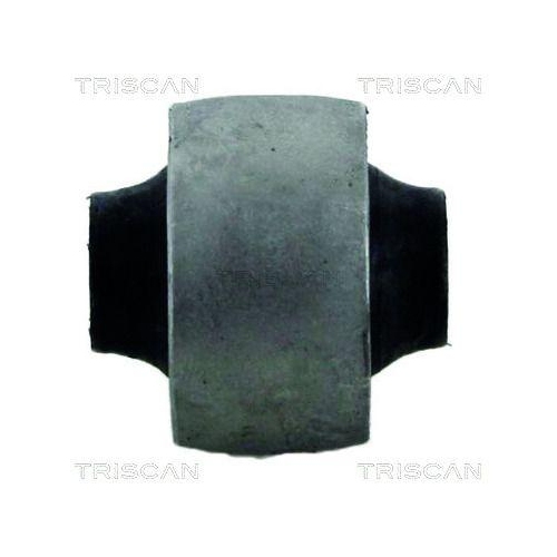 TRISCAN Lagerung, Lenker