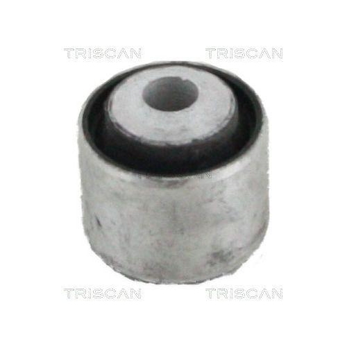 TRISCAN Lagerung, Lenker