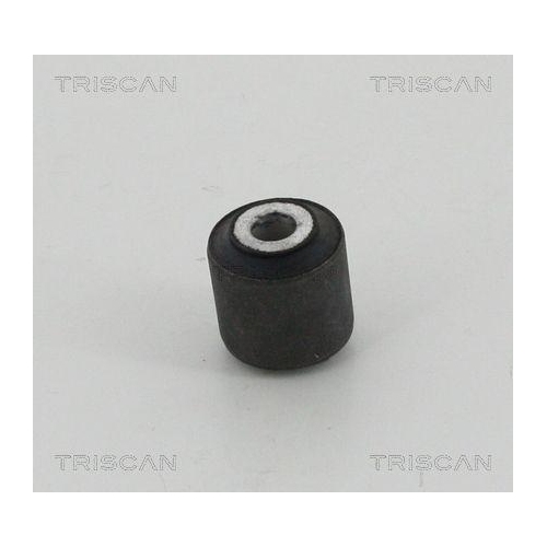 TRISCAN Lagerung, Lenker