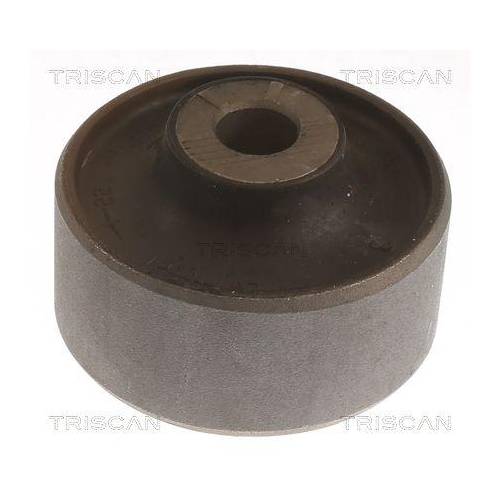 TRISCAN Lagerung, Lenker