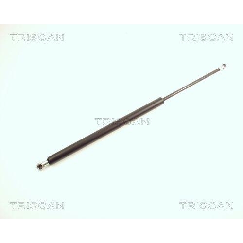 TRISCAN Gasfeder, Koffer-/Laderaum