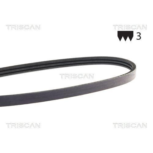 TRISCAN Keilrippenriemen