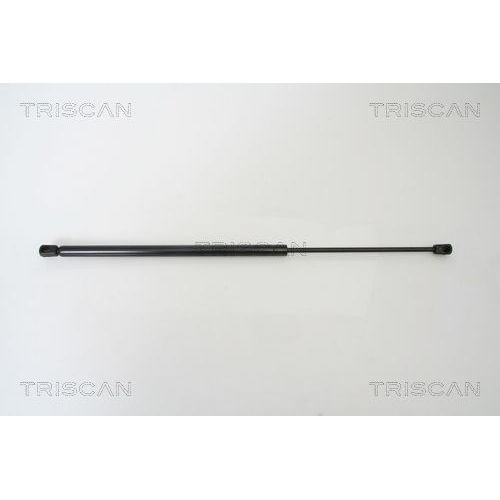 TRISCAN Gasfeder, Koffer-/Laderaum