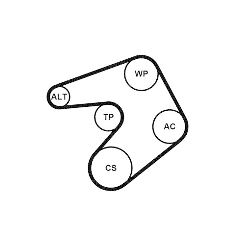 CONTINENTAL CTAM Keilrippenriemensatz