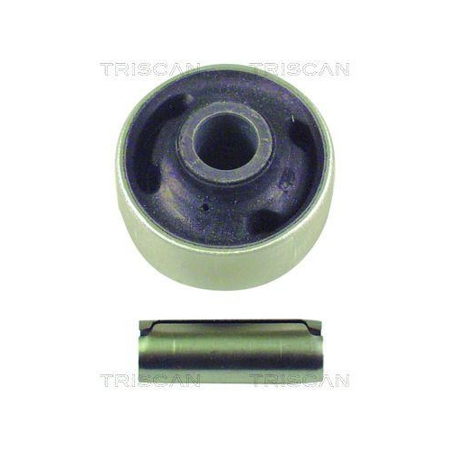 TRISCAN Lagerung, Lenker