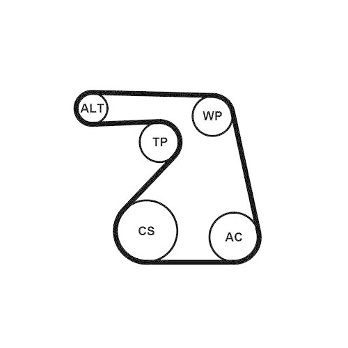 CONTINENTAL CTAM Keilrippenriemensatz