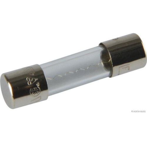 HERTH+BUSS ELPARTS Sicherung