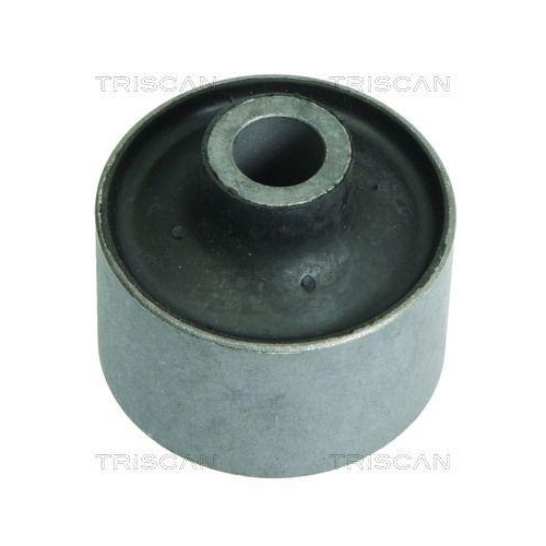 TRISCAN Lagerung, Lenker