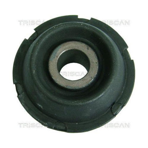 TRISCAN Lagerung, Lenker