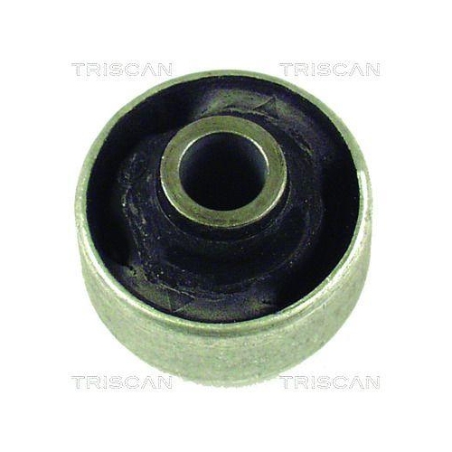 TRISCAN Lagerung, Lenker