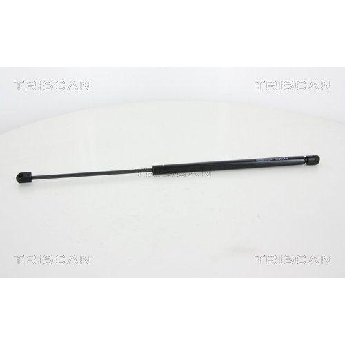 TRISCAN Gasfeder, Koffer-/Laderaum