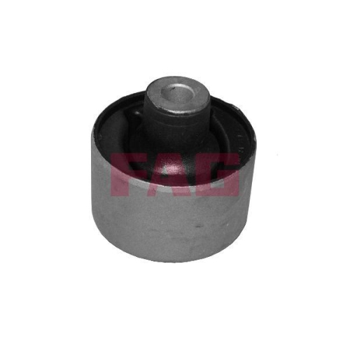 Schaeffler FAG Lagerung, Lenker