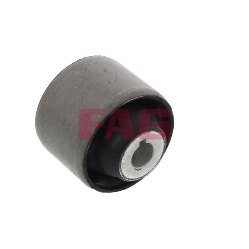 Schaeffler FAG Lagerung, Lenker