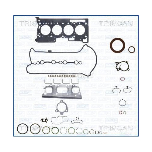 TRISCAN Dichtungsvollsatz, Motor