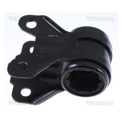 TRISCAN Lagerung, Lenker