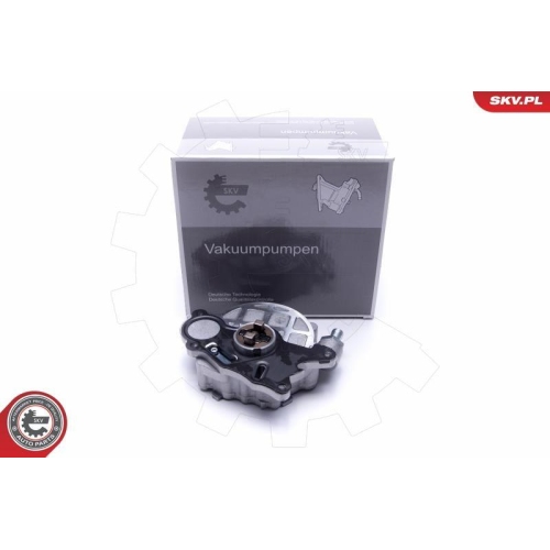 ESEN SKV Unterdruckpumpe, Bremsanlage