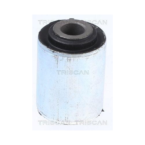 TRISCAN Lagerung, Lenker