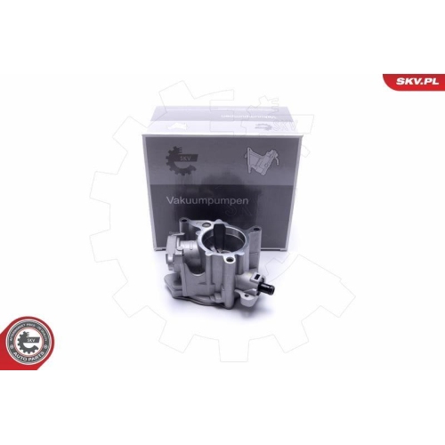 ESEN SKV Unterdruckpumpe, Bremsanlage