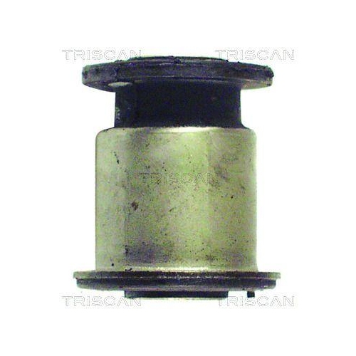 TRISCAN Lagerung, Lenker