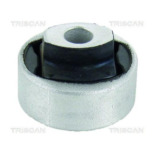 TRISCAN Lagerung, Lenker