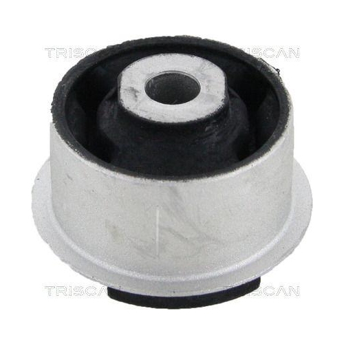 TRISCAN Lagerung, Lenker