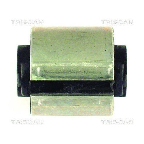 TRISCAN Lagerung, Lenker