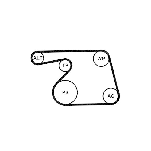 CONTINENTAL CTAM Keilrippenriemensatz