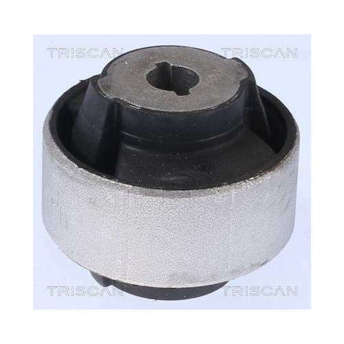 TRISCAN Lagerung, Lenker