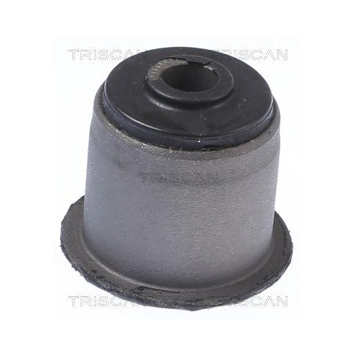 TRISCAN Lagerung, Lenker