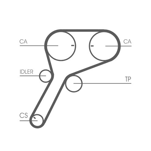 CONTINENTAL CTAM Zahnriemen